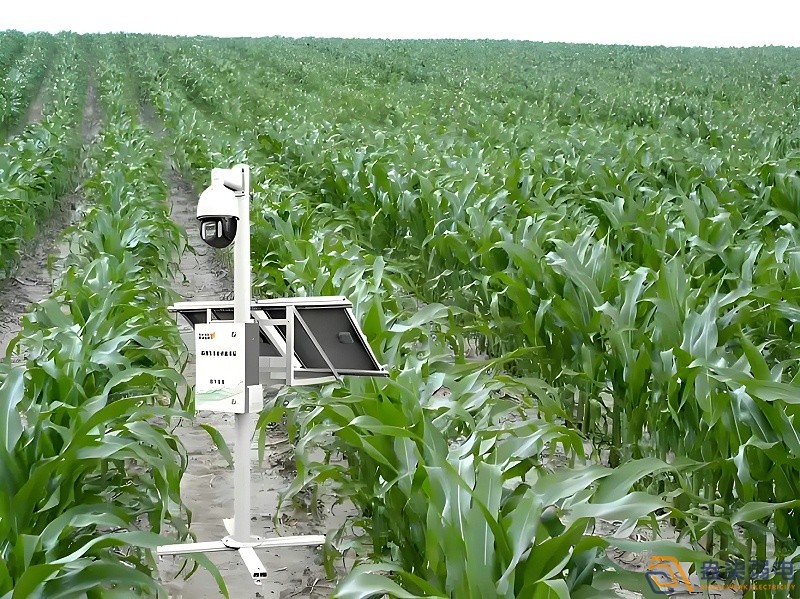 作物生長(zhǎng)全周期監(jiān)測(cè)解決方案